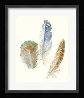Watercolor Feathers III Framed Print