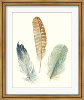 Watercolor Feathers IV Fine Art Print