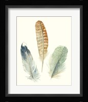 Watercolor Feathers IV Framed Print