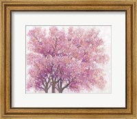 Pink Cherry Blossom Tree I Fine Art Print