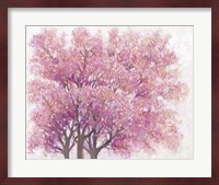 Pink Cherry Blossom Tree I Fine Art Print