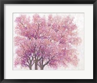 Pink Cherry Blossom Tree I Fine Art Print