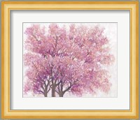 Pink Cherry Blossom Tree I Fine Art Print