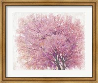 Pink Cherry Blossom Tree II Fine Art Print