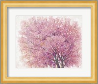 Pink Cherry Blossom Tree II Fine Art Print