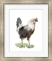 Chicken Dance I Fine Art Print
