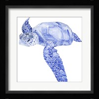 Ultramarine Sea Turtle I Framed Print