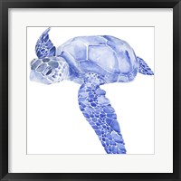 Ultramarine Sea Turtle I Framed Print