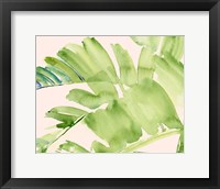 Peachy Palms II Fine Art Print