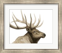 Call of the Elk I Fine Art Print