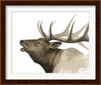 Call of the Elk II Fine Art Print