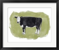 Hereford Graze II Framed Print
