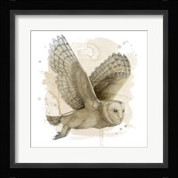 Midnight Watch I Framed Print