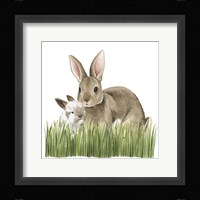 Woodland Babes III Framed Print
