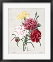 Bouquet I Framed Print
