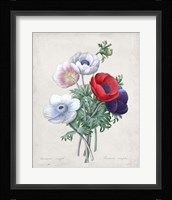 Bouquet II Framed Print