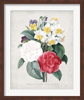 Bouquet III Fine Art Print
