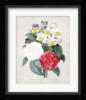 Bouquet III Framed Print
