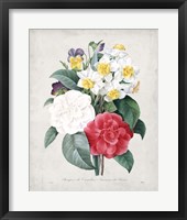 Bouquet III Framed Print