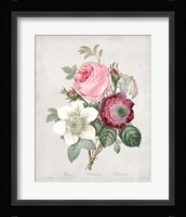 Bouquet IV Framed Print