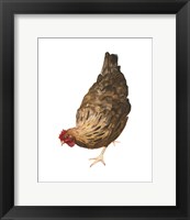 Autumn Chicken II Fine Art Print