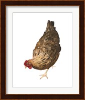 Autumn Chicken II Fine Art Print