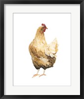 Autumn Chicken III Framed Print
