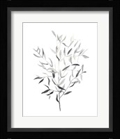 Paynes Grey Botanicals III Framed Print