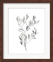 Paynes Grey Botanicals IV Fine Art Print