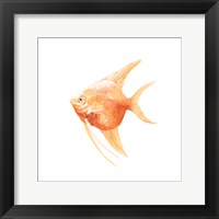 Discus Fish III Fine Art Print