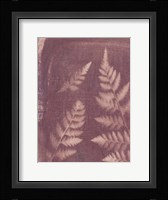 Botanical Sun I Framed Print