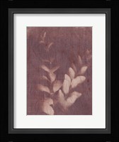 Botanical Sun II Framed Print