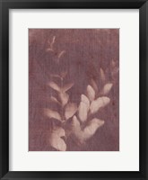 Botanical Sun II Framed Print