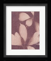 Botanical Sun III Framed Print