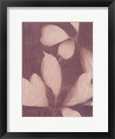 Botanical Sun III Framed Print