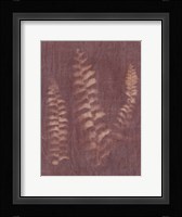 Botanical Sun IV Framed Print