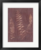 Botanical Sun IV Framed Print
