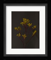 Dark & Dreamy IV Framed Print