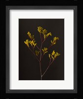 Dark & Dreamy V Framed Print