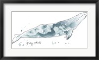 Cetacea Gray Whale Fine Art Print