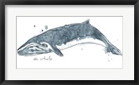 Cetacea Sei Whale Fine Art Print