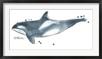 Cetacea Orca Whale Fine Art Print