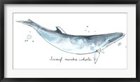 Cetacea Dwarf Minke Whale Fine Art Print
