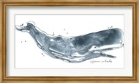 Cetacea Sperm Whale Fine Art Print