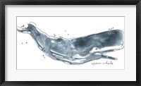 Cetacea Sperm Whale Fine Art Print