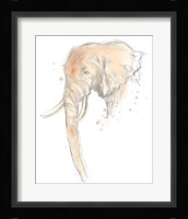 Blush Savannah I Framed Print