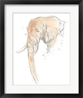Blush Savannah I Framed Print