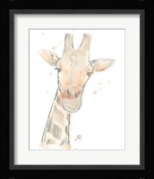 Blush Savannah II Framed Print
