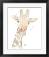 Blush Savannah II Framed Print