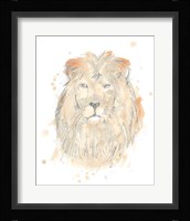 Blush Savannah III Framed Print